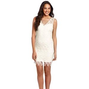NWT BB Dakota Women's Allium Dress, Ivory, 6
